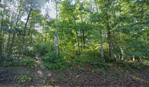 Photo #5 of LAUREL RD, SHIPMAN, VA 3.2 acres