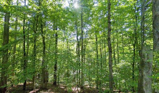 Photo #8 of LAUREL RD, SHIPMAN, VA 3.2 acres