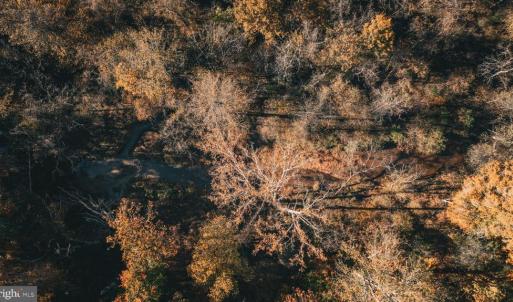 Photo #2 of 14603 COX MILL RD, GORDONSVILLE, VA 178.6 acres