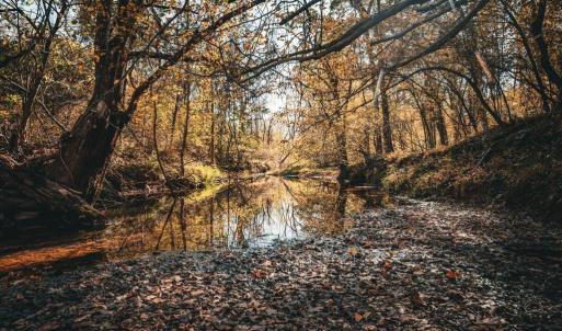 Photo #1 of 14603 COX MILL RD, GORDONSVILLE, VA 178.6 acres