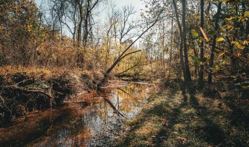 Photo #5 of 14603 COX MILL RD, GORDONSVILLE, VA 178.6 acres