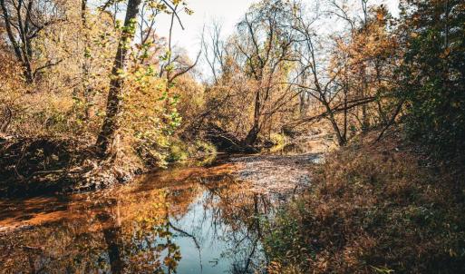 Photo #6 of 14603 COX MILL RD, GORDONSVILLE, VA 178.6 acres