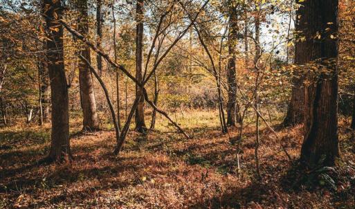 Photo #8 of 14603 COX MILL RD, GORDONSVILLE, VA 178.6 acres