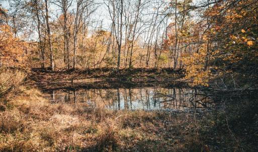 Photo #9 of 14603 COX MILL RD, GORDONSVILLE, VA 178.6 acres