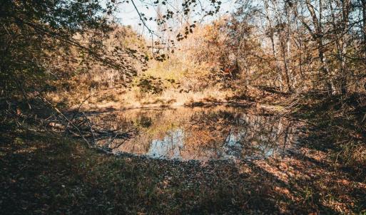 Photo #10 of 14603 COX MILL RD, GORDONSVILLE, VA 178.6 acres