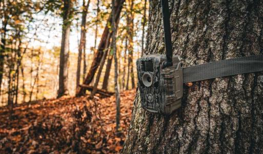 Photo #12 of 14603 COX MILL RD, GORDONSVILLE, VA 178.6 acres