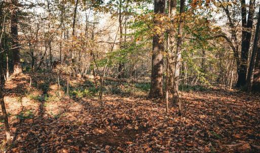 Photo #13 of 14603 COX MILL RD, GORDONSVILLE, VA 178.6 acres