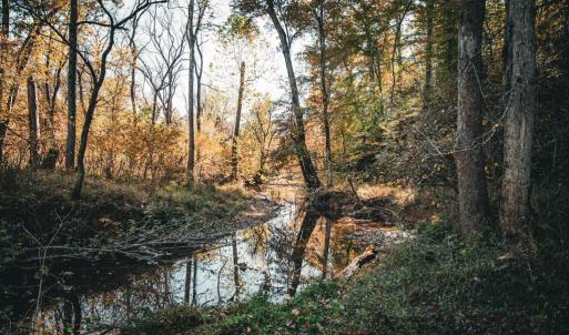 Photo #14 of 14603 COX MILL RD, GORDONSVILLE, VA 178.6 acres