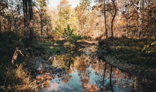 Photo #15 of 14603 COX MILL RD, GORDONSVILLE, VA 178.6 acres