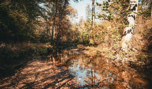 Photo #16 of 14603 COX MILL RD, GORDONSVILLE, VA 178.6 acres