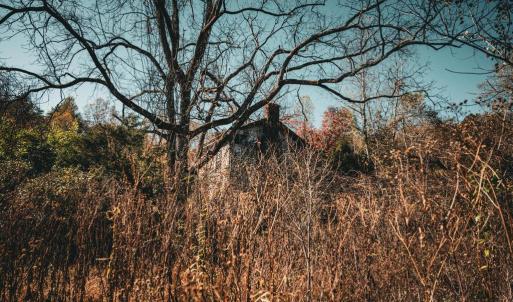 Photo #18 of 14603 COX MILL RD, GORDONSVILLE, VA 178.6 acres