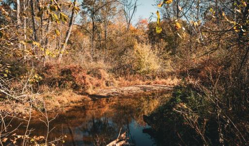 Photo #22 of 14603 COX MILL RD, GORDONSVILLE, VA 178.6 acres