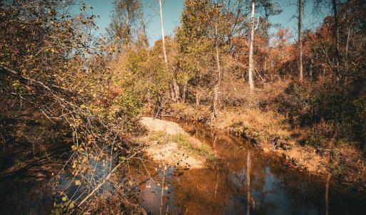 Photo #23 of 14603 COX MILL RD, GORDONSVILLE, VA 178.6 acres