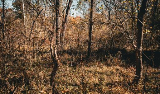 Photo #24 of 14603 COX MILL RD, GORDONSVILLE, VA 178.6 acres