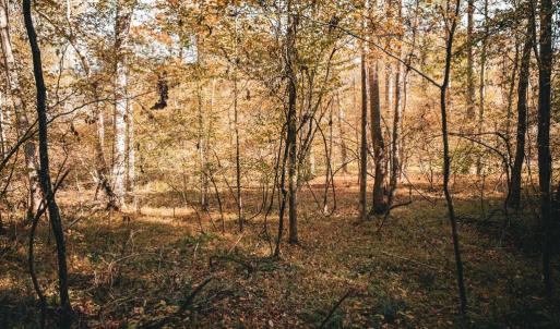 Photo #25 of 14603 COX MILL RD, GORDONSVILLE, VA 178.6 acres