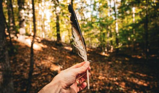 Photo #33 of 14603 COX MILL RD, GORDONSVILLE, VA 178.6 acres