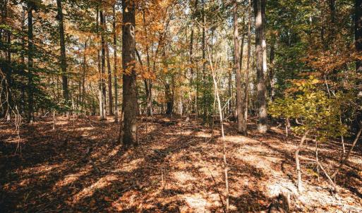 Photo #37 of 14603 COX MILL RD, GORDONSVILLE, VA 178.6 acres