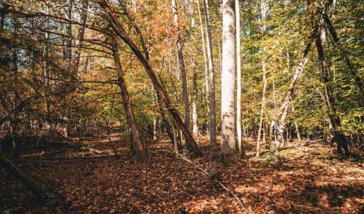 Photo #38 of 14603 COX MILL RD, GORDONSVILLE, VA 178.6 acres