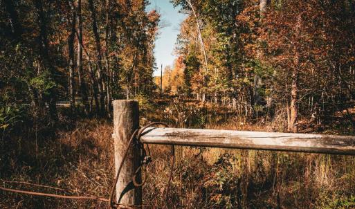 Photo #43 of 14603 COX MILL RD, GORDONSVILLE, VA 178.6 acres