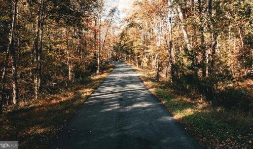 Photo #44 of 14603 COX MILL RD, GORDONSVILLE, VA 178.6 acres