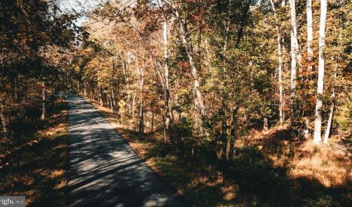 Photo #45 of 14603 COX MILL RD, GORDONSVILLE, VA 178.6 acres