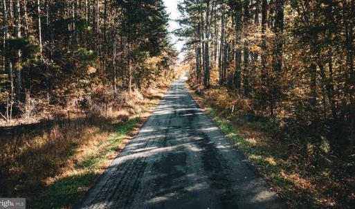 Photo #46 of 14603 COX MILL RD, GORDONSVILLE, VA 178.6 acres