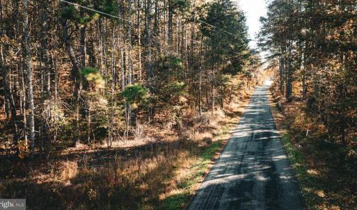 Photo #47 of 14603 COX MILL RD, GORDONSVILLE, VA 178.6 acres