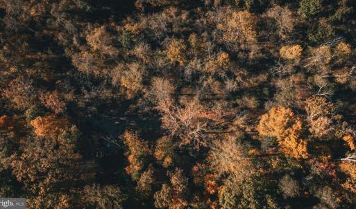 Photo #48 of 14603 COX MILL RD, GORDONSVILLE, VA 178.6 acres