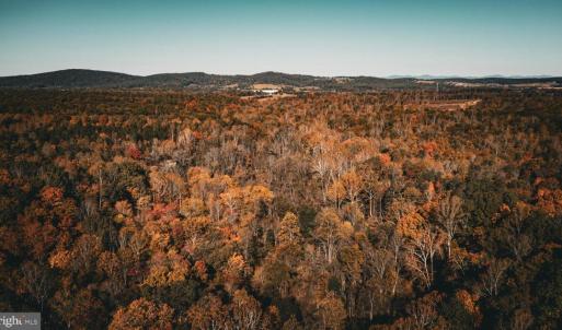 Photo #50 of 14603 COX MILL RD, GORDONSVILLE, VA 178.6 acres