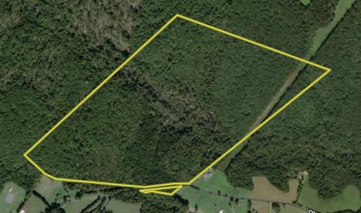 Photo #58 of 14603 COX MILL RD, GORDONSVILLE, VA 178.6 acres