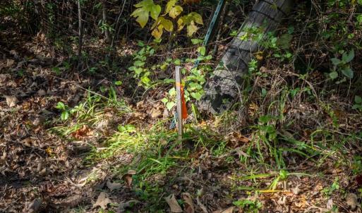 Photo #12 of HAMS FORD RD, SPOTSYLVANIA, VA 3.2 acres