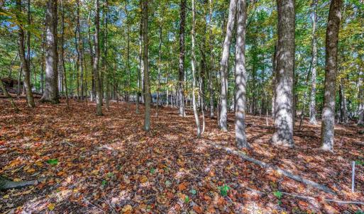 Photo #2 of 107 GOLD VALLEY RD, LOCUST GROVE, VA 0.2 acres