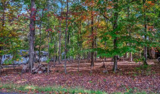 Photo #5 of 107 GOLD VALLEY RD, LOCUST GROVE, VA 0.2 acres
