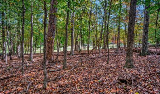 Photo #9 of 107 GOLD VALLEY RD, LOCUST GROVE, VA 0.2 acres