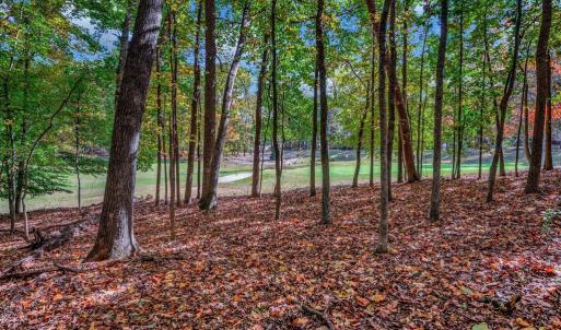 Photo #8 of 107 GOLD VALLEY RD, LOCUST GROVE, VA 0.2 acres