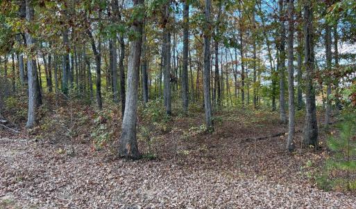 Photo #4 of LOT 8 RAINBOW RIDGE, BUMPASS, VA 1.0 acres