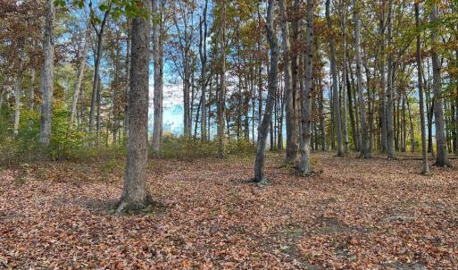 Photo #6 of LOT 8 RAINBOW RIDGE, BUMPASS, VA 1.0 acres