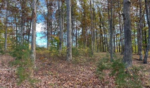 Photo #5 of LOT 8 RAINBOW RIDGE, BUMPASS, VA 1.0 acres
