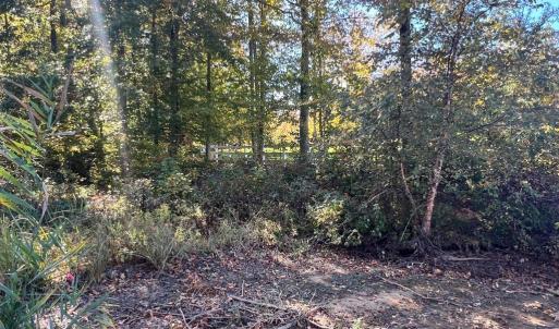 Photo #3 of LOT 5 PROMISE LANE, BUMPASS, VA 1.0 acres