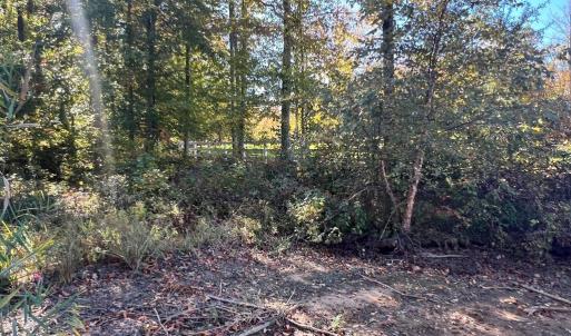 Photo #4 of LOT 5 PROMISE LANE, BUMPASS, VA 1.0 acres