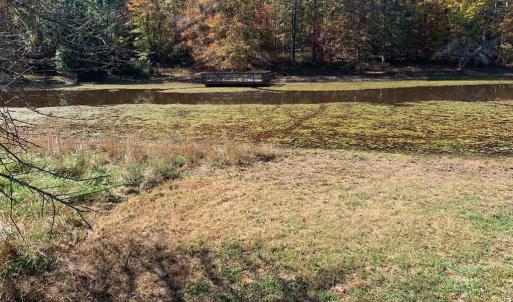Photo #26 of 28282 RACCOON FORD RD, BURR HILL, VA 70.2 acres
