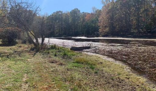 Photo #31 of 28282 RACCOON FORD RD, BURR HILL, VA 70.2 acres