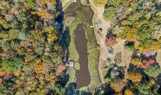 Photo #4 of 28282 RACCOON FORD RD, BURR HILL, VA 70.2 acres