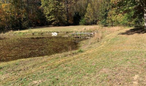 Photo #30 of 28282 RACCOON FORD RD, BURR HILL, VA 70.2 acres