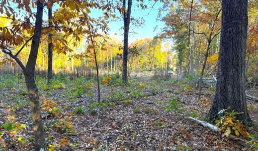 Photo #4 of 16120 BRANDY RD, CULPEPER, VA 3.0 acres