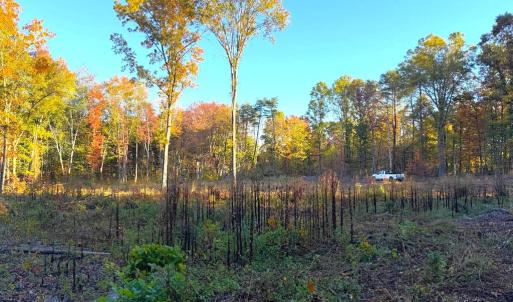 Photo #6 of 16120 BRANDY RD, CULPEPER, VA 3.0 acres