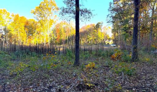 Photo #8 of 16120 BRANDY RD, CULPEPER, VA 3.0 acres