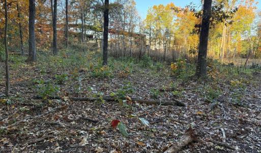 Photo #9 of 16120 BRANDY RD, CULPEPER, VA 3.0 acres