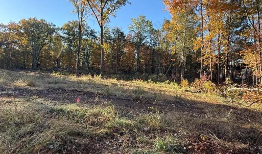 Photo #10 of 16120 BRANDY RD, CULPEPER, VA 3.0 acres
