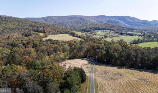 Photo #14 of YOUNG RD, RILEYVILLE, VA 8.6 acres